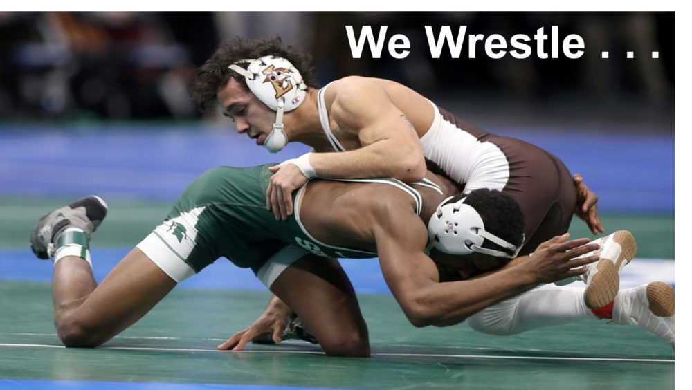 We Wrestle